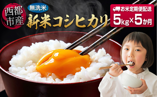 8月発送開始【5ヶ月定期便】 新米コシヒカリ無洗米 5kg×5 合計25kg 令和7年産 8月～12月発送 宮崎県西都市産＜8.5-7＞こしひかり 精米 白米 お米 宮崎県 西都市 コシヒカリ：5ヶ月定期便 5kg×5【寄附額85,000円】