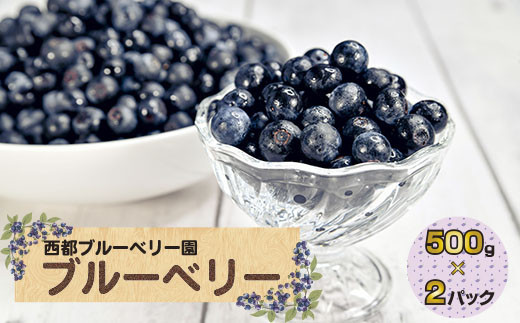 【先行予約】朝どれ！新鮮生ブルーベリー1kg（250g×4パック） 西都ブルーベリー農園 小分け＜1.2-36＞