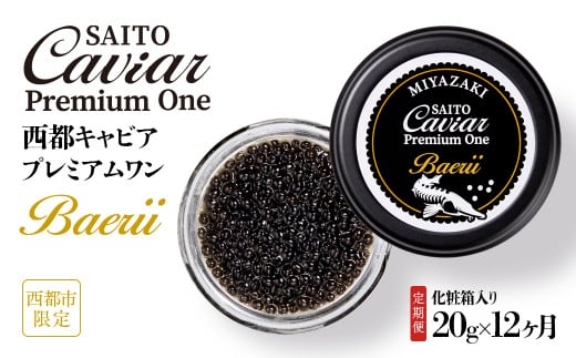  【12ヶ月定期便】SAITO CAVIAR PREMIUM ONE BAERII 20g×12ヶ月 ＜50-1＞キャビア 西都市オリジナル 