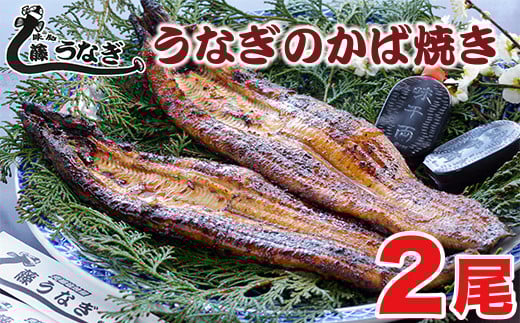 うなぎのかば焼き2尾　国産うなぎ 『お食事処 藤うなぎ』<1.7-2>魚介類 鰻 ウナギ 宮崎県西都市 入金確認後30日前後で発送