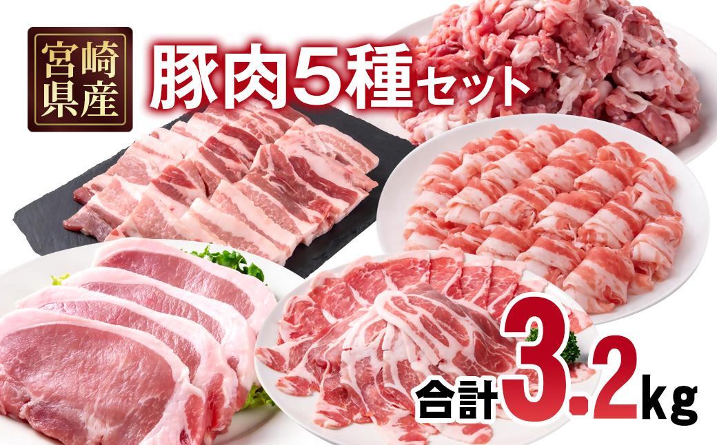 宮崎県産豚肉 5種 合計3.2kgセット 小分け 13パック 切り落とし ロース バラ＜1.6-42＞