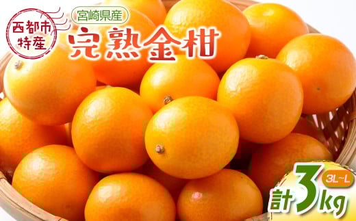 【先行予約】宮崎県西都市産 完熟きんかん 3kg（3L～L）＜1.2-41＞W