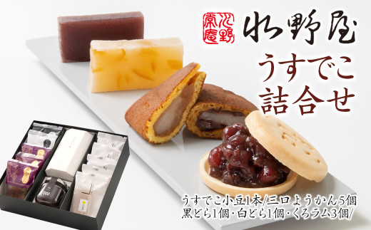 老舗水野屋『うすでこ詰合わせ』 和菓子＜1.2-64＞どらやき 菓子 お菓子 ギフト 宮崎県西都市