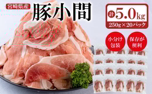 宮崎県産 豚肉小間切れ　合計5ｋｇ 小分け（250g×20パック）＜2-21＞豚肉 肉 ポーク 切落とし 大容量 小分け しゃぶしゃぶ 焼肉 宮崎県産 宮崎 西都市