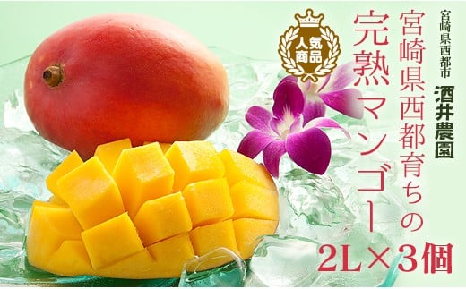 【酒井農園 】西都産 宮崎完熟マンゴー2L×3個 産生者直送＜1.7-47＞【先行予約】2026年発送 宮崎マンゴー
