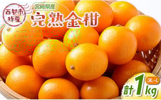 【先行予約】宮崎県西都市産 完熟きんかん 1kg（3L～L）＜1-233＞W
