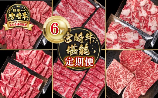 【定期便】宮崎牛 6回定期便 小分け ブランド牛 A４～A5等級 内閣総理大臣賞4連覇＜9-13＞焼き肉 すき焼き 牛肉 最高級黒毛和牛
