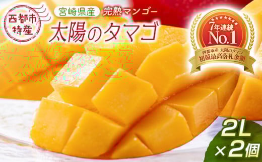 【先行予約】最高級完熟マンゴー 太陽のタマゴ 2Ｌ×2玉 西都市特産＜2-76＞2026年発送 果物 くだもの フルーツ 宮崎県西都市