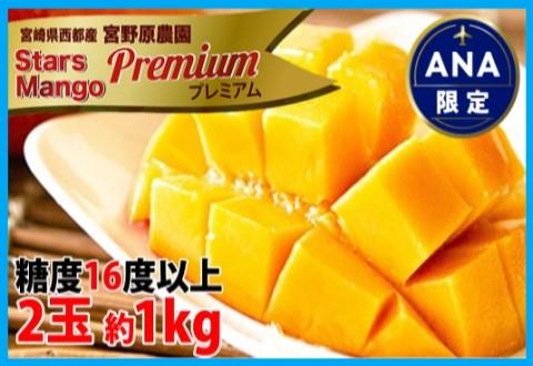 【ANA限定】糖度16度以上！宮崎スターズマンゴープレミアム 2～3玉（約1kg）宮野原農園 【先行予約】2026年発送＜3.5-18＞果物 くだもの フルーツ ギフト 宮崎県西都市