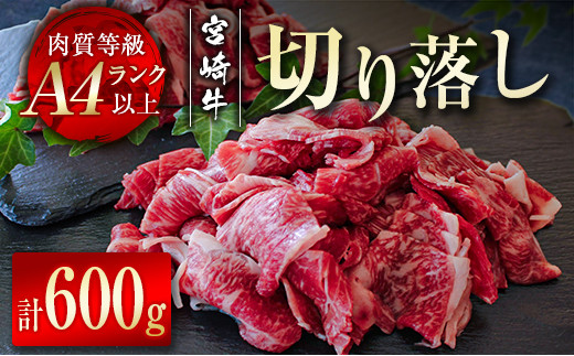 宮崎牛切り落し　600ｇ（300ｇ×2パック）