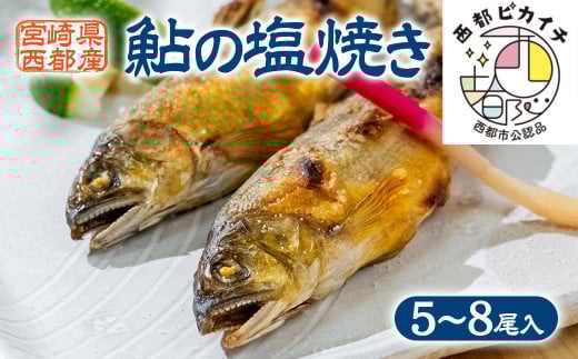 鮎の塩焼きギフト 5～8尾入り ＜1.1-35＞川魚 鮎 あゆ★