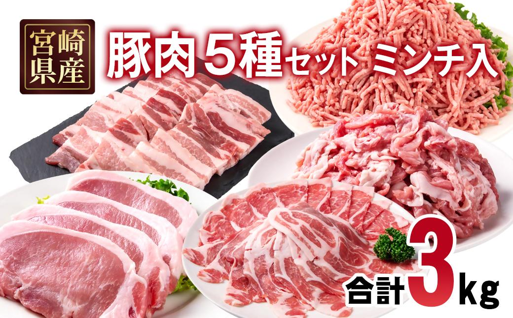 宮崎県産豚肉 5種 合計3kgセット スライス とんかつ 焼肉 切り落とし ミンチ 小分け 11パック＜1.5-238＞
