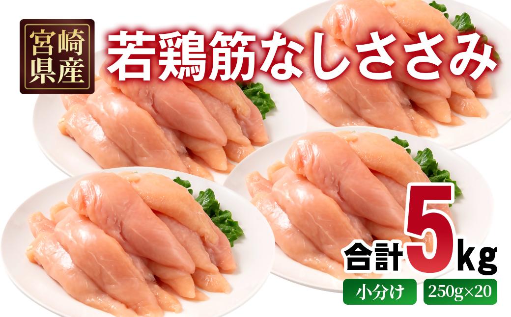 宮崎県産若鶏 筋なしささみ 5kg 小分け250ｇ×20パック＜2.3-4＞