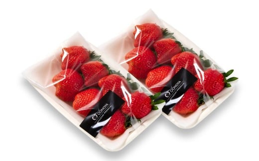 【先行予約】苺大野屋 やよいひめ 厳選いちご 250g×2パック 500g 宮崎県西都市＜1-294＞苺 果物 くだもの フルーツ 500g(250g×2パック)【寄附額11,000円】