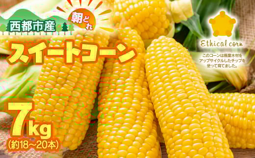 【先行予約】西都市産朝どれ スイートコーン『ゴールドラッシュ約7㎏（18～22本）』2026年発送＜1.2-24＞とうもろこし 野菜 宮崎県西都市