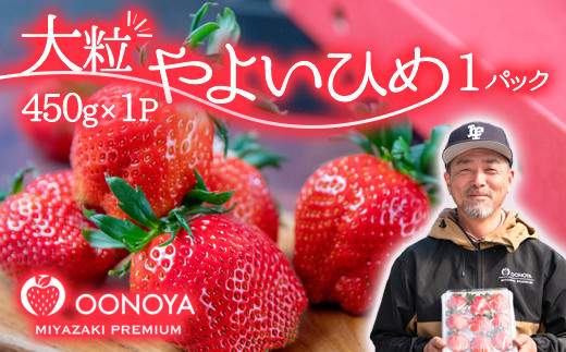【先行予約】大粒厳選いちご やよいひめ1パック 450ｇ 苺大野屋 宮崎県西都市＜1.5-232＞苺 いちご 果物 くだもの フルーツ 贈答用 ギフト 大粒450ｇ×1パック【寄附額15,000円】
