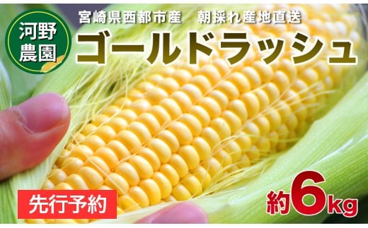 【先行予約】西都市産 河野農園 スイートコーン『ゴールドラッシュ』約6kg＜1-42＞2026年発送予定 野菜 とうもろこし 宮崎県西都市