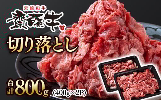 黒毛和牛「宮崎和牛 齋藤牛」切り落とし 800g（400g×2パック） 国産牛肉 小分け＜1.2-61＞