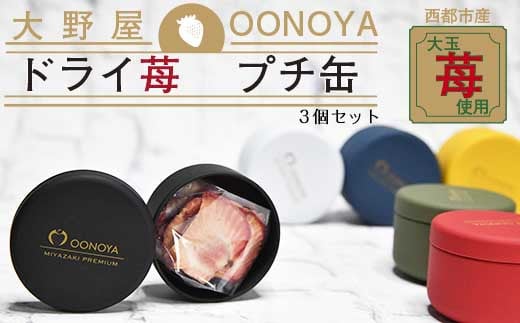 苺大野屋　やよいひめドライ苺　プチ缶3個セット＜1-221＞果物 くだもの フルーツ イチゴ いちご ギフト 宮崎県西都市