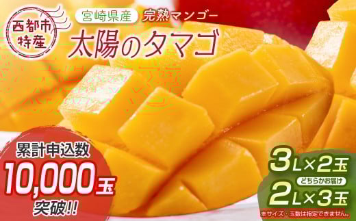 2026年発送　最高級ブランド『太陽のタマゴ』3Lサイズ2個または、2Lサイズ3個【糖度15度以上】宮崎県西都市産完熟マンゴー＜3-48＞宮崎マンゴー【先行予約】