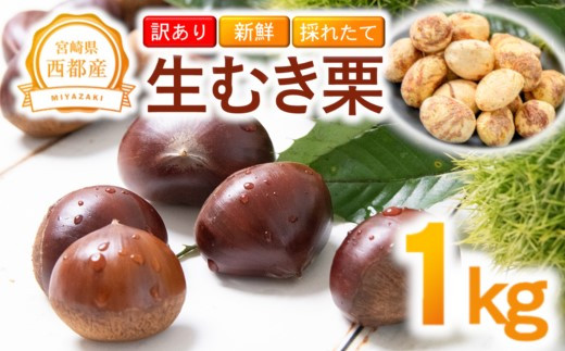 【訳あり】 新鮮朝どれ 国産生むき栗 1kg 西都市産【先行予約】＜49-7a＞