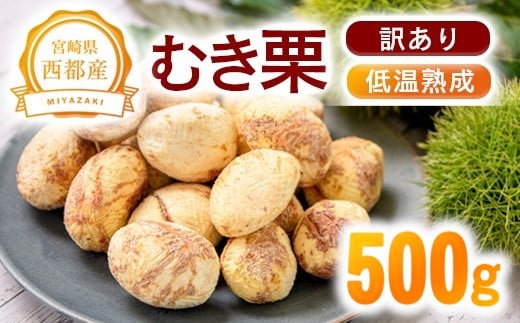【訳あり】低温熟成栗 国産むき栗 500g 糖度2～3倍  西都市産＜49-3a＞