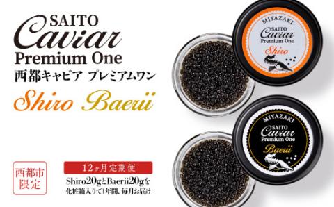[12ヶ月定期便]SAITO CAVIAR PREMIUM ONE SHIRO 20g・BAERII20g 食べ比べ定期便[87-1]キャビア 西都市オリジナル