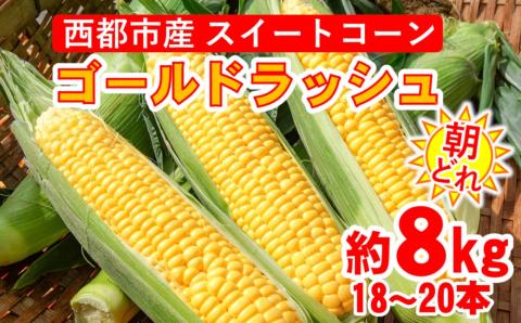 【先行予約】朝どれスイートコーン『ゴールドラッシュ』8ｋｇ（18～20本）西都市産＜1.2-4＞