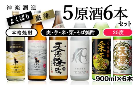 欲張り神楽 焼酎[芋・麦・米・栗・そば]5原酒6本セット[2.1-5]酒 焼酎 アルコール 西都市