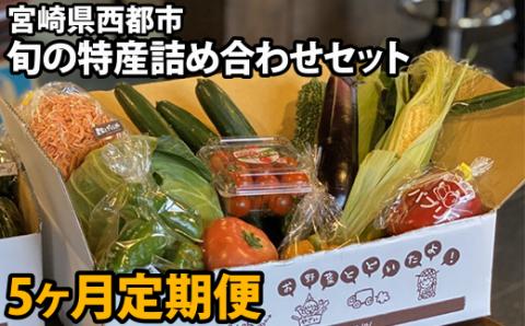 【野菜定期便】西都市産旬の特産詰め合わせセット　野菜・フルーツ・加工品10品程度《先行予約》＜5-13＞