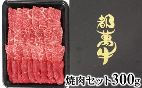 黒毛和牛『都萬牛』 焼肉セット300g[1-35]