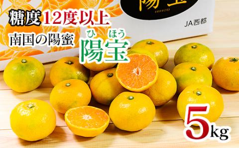 [糖度12度以上]みかん「南国の陽蜜・陽宝」5kg 宮崎県西都産[先行予約][1.5-169]