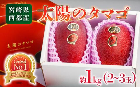 最高級ブランド『太陽のタマゴ』約1kg(2〜3玉)西都産完熟マンゴー(JA西都)[先行予約][3-18]2025年発送 果物 くだもの フルーツ 宮崎県西都市