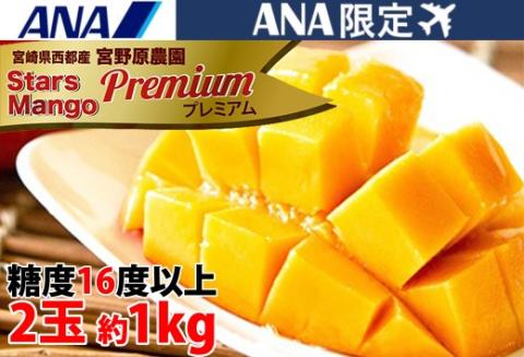 [ANA限定]糖度16度以上!宮崎スターズマンゴープレミアム 2〜3玉(約1kg)宮野原農園[先行予約][3.5-10]