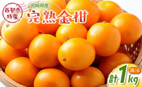 [先行予約]宮崎県西都市産 完熟きんかん 1kg(3L〜L)[1-233]W