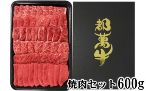 黒毛和牛『都萬牛』焼肉セット600g[2-24]牛肉 肉 ビーフ 宮崎県西都市