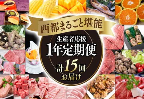 [季節の定期便]西都まるごと堪能セットB 15品お届け 令和7年1月発送開始 12ヶ月定期便『シルバーコース』[20-8]牛肉 果物 フルーツ うなぎ 宮崎県西都市