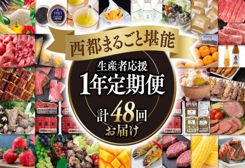 [季節の定期便]西都まるごと堪能セットF 48品お届け 令和7年1月発送開始 12ヶ月定期便『プレミアムコース』宮崎牛・マンゴー・うなぎなどお届け[100-3]