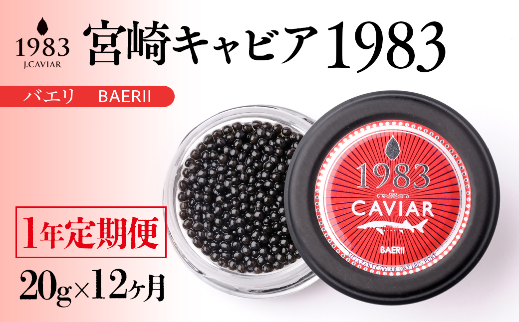 [12ヶ月定期便]宮崎キャビア1983バエリ MIYAZAKI CAVIAR1983 BAERII 20g×12ヶ月[48-2]魚卵 キャビア 全12回 宮崎県西都市