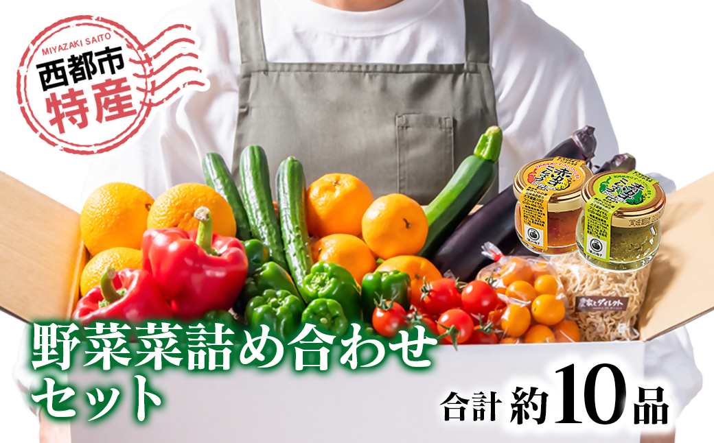 [数量限定・先行予約]西都市特産新鮮野菜と柚子こしょう詰め合わせセット[1-48]野菜 調味料 特産品 宮崎県西都市