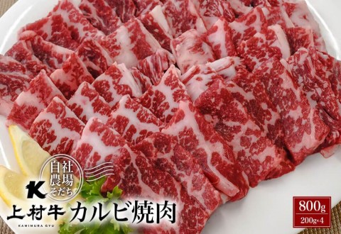 [カミチク]宮崎県産上村牛 カルビ焼肉800g(200g×4パック)[1.4-5]牛肉 焼肉 ビーフ 宮崎県西都市 数量限定