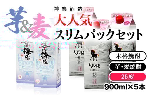 神楽酒造 大人気芋焼酎「天孫降臨」&麦焼酎「くろうま」スリムパックセッ 900ml×5本[1.6-12]酒 アルコール 焼酎 西都市