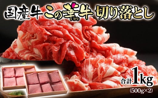 宮崎有田牧場 この華牛切り落とし1kg (500g×2パック) オリジナルブランド『この華牛』赤身主体[1.2-28]牛肉 大容量 肉1kg 国産 切落とし 宮崎県西都市