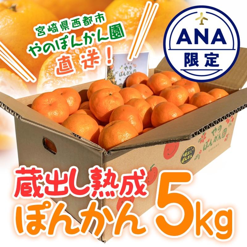 [ANA限定][先行予約]＼数量限定/西都市産 蔵出し熟成ぽんかん 5kg やのぽんかん園直送 [1-34]