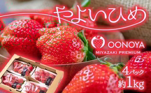 [先行予約]苺大野屋 やよいひめ 厳選いちご 250g×4パック 1kg 宮崎県西都市[2-104]苺 果物 くだもの フルーツ