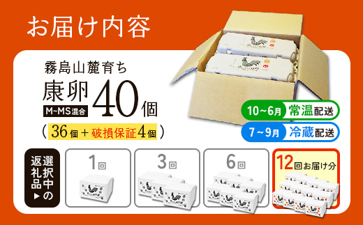 卵【12回 定期便】霧島山麓育ち こだわり卵 康卵 計40個（36