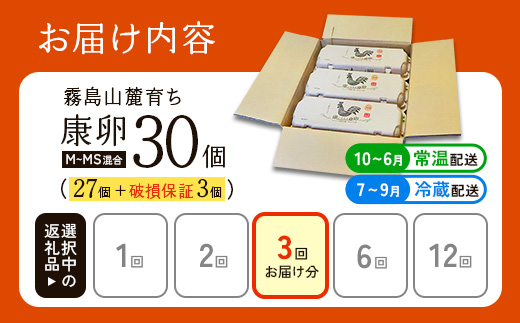 卵【3回定期便】 霧島山麓育ち こだわり卵 康卵 計 30個（27