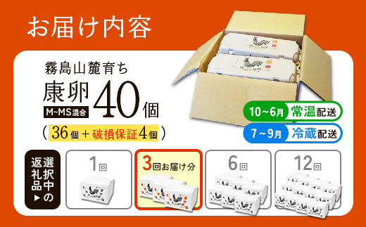 【ふるさと納税】卵【3回 定期便】霧島山麓育ち こだわり