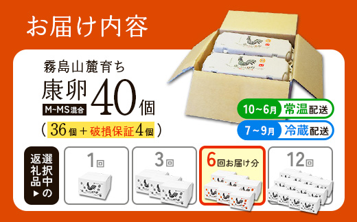 【ふるさと納税】卵【6回 定期便】霧島山麓育ち こだわり