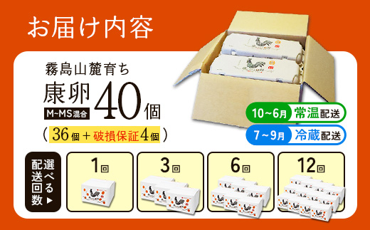 卵霧島山麓育ち こだわり卵 康卵 計40個（36個 + 割れ保証4個